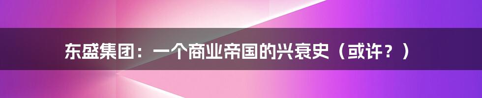 东盛集团:一个商业帝国的兴衰史(或许?)