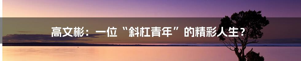 高文彬:一位“斜杠青年”的精彩人生?