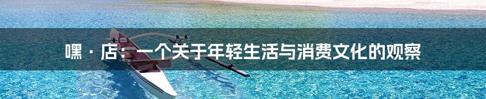嘿·店：一个关于年轻生活与消费文化的观察
