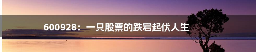 600928:一只股票的跌宕起伏人生