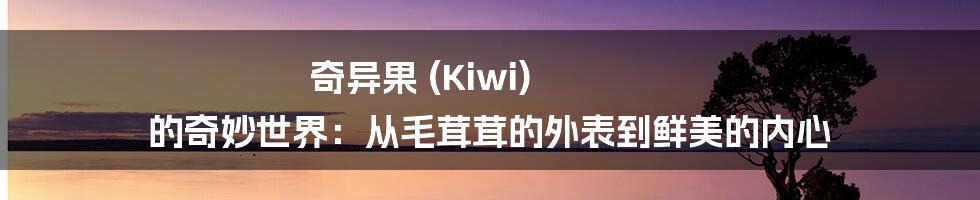 奇异果 (Kiwi) 的奇妙世界：从毛茸茸的外表到鲜美的内心