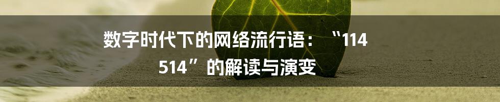 数字时代下的网络流行语:“114 514”的解读与演变