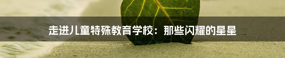 走进儿童特殊教育学校：那些闪耀的星星