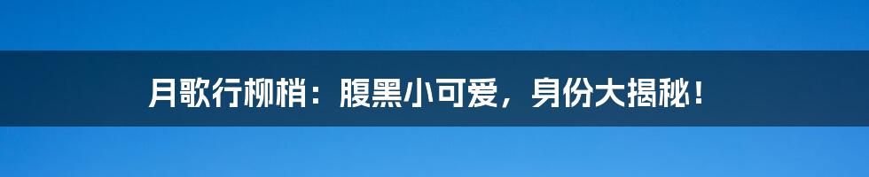 月歌行柳梢:腹黑小可爱,身份大揭秘!