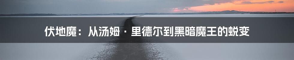 伏地魔:从汤姆·里德尔到黑暗魔王的蜕变