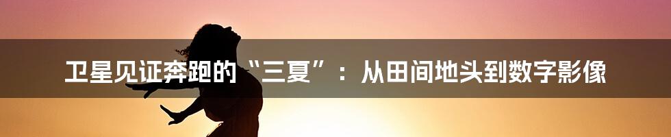 卫星见证奔跑的“三夏”：从田间地头到数字影像