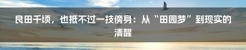 良田千顷,也抵不过一技傍身:从“田园梦”到现实的清醒