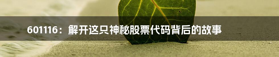 601116:解开这只神秘股票代码背后的故事