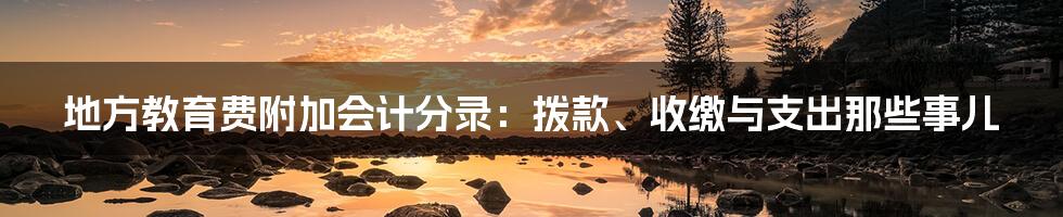 地方教育费附加会计分录：拨款、收缴与支出那些事儿