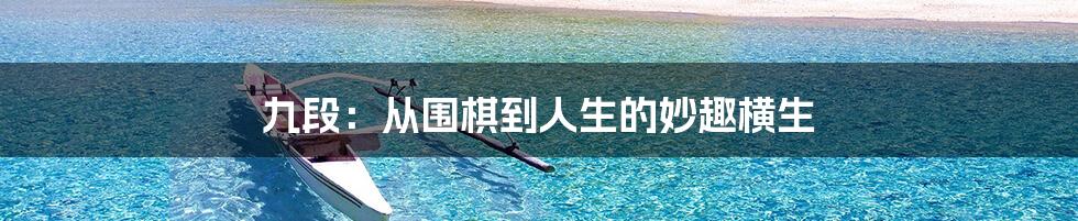 九段：从围棋到人生的妙趣横生