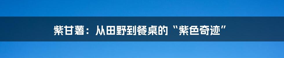 紫甘薯:从田野到餐桌的“紫色奇迹”