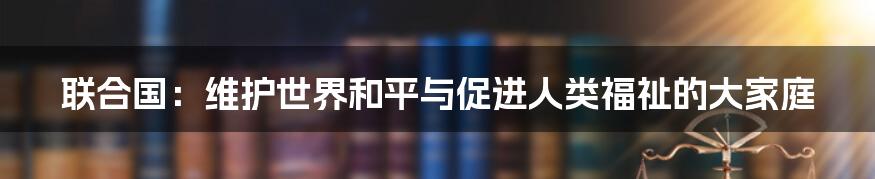 联合国：维护世界和平与促进人类福祉的大家庭