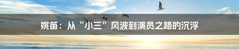 姚笛:从“小三”风波到演员之路的沉浮