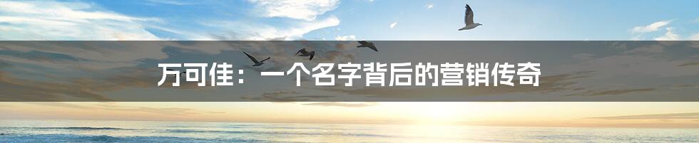 万可佳:一个名字背后的营销传奇
