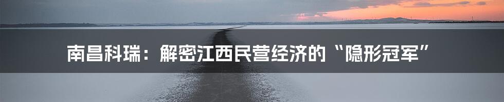 南昌科瑞:解密江西民营经济的“隐形冠军”