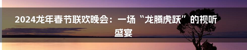 2024龙年春节联欢晚会:一场“龙腾虎跃”的视听盛宴