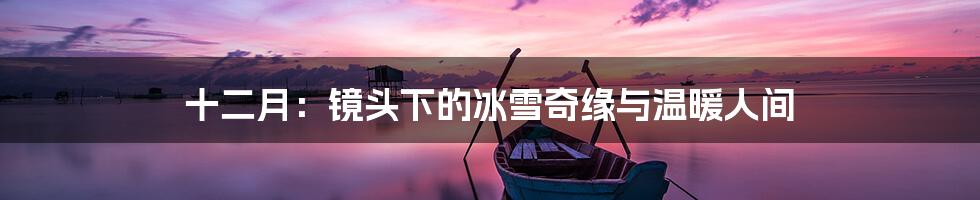 十二月：镜头下的冰雪奇缘与温暖人间