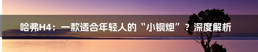 哈弗H4:一款适合年轻人的“小钢炮”?深度解析