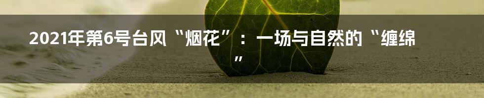 2021年第6号台风“烟花”:一场与自然的“缠绵”