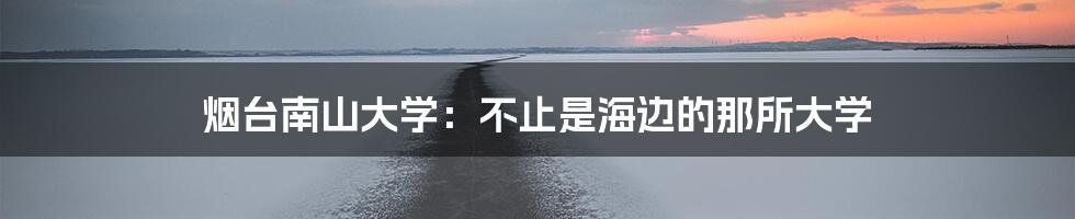 烟台南山大学：不止是海边的那所大学