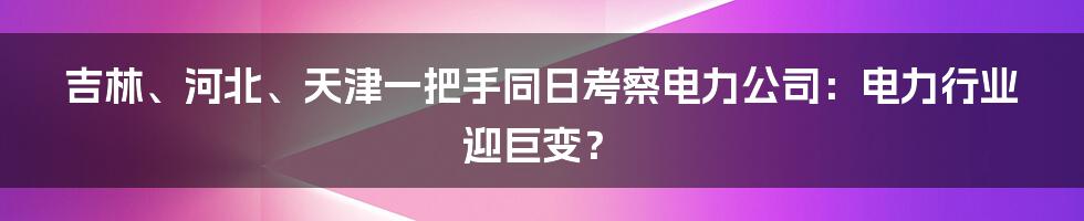 吉林、河北、天津一把手同日考察电力公司:电力行业迎巨变?