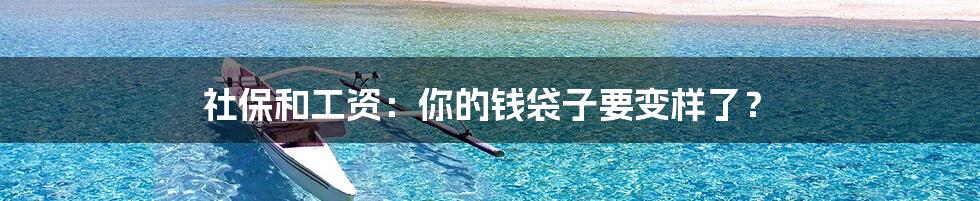 社保和工资:你的钱袋子要变样了?