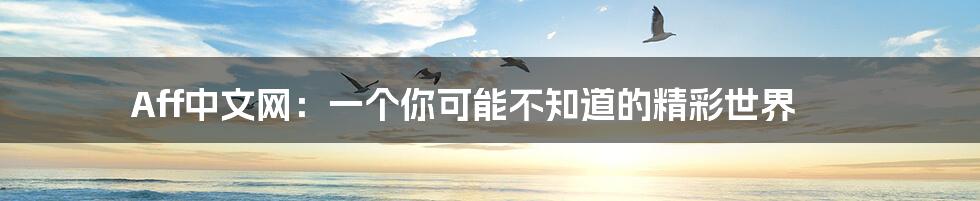 Aff中文网:一个你可能不知道的精彩世界