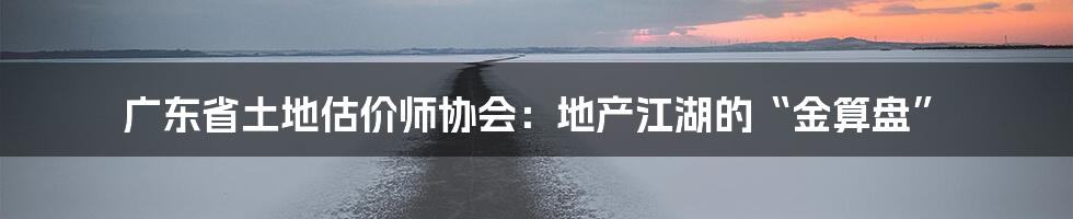 广东省土地估价师协会:地产江湖的“金算盘”