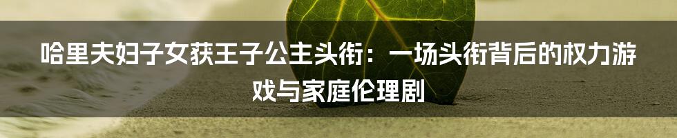 哈里夫妇子女获王子公主头衔:一场头衔背后的权力游戏与家庭伦理剧