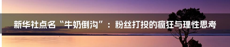 新华社点名“牛奶倒沟”:粉丝打投的疯狂与理性思考