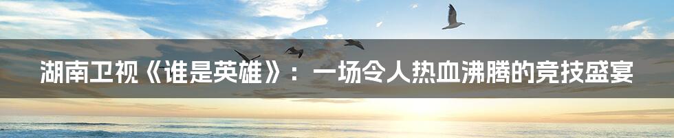 湖南卫视《谁是英雄》：一场令人热血沸腾的竞技盛宴