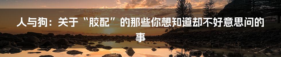 人与狗：关于“胶配”的那些你想知道却不好意思问的事