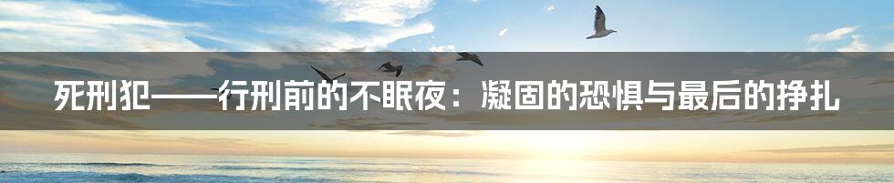 死刑犯——行刑前的不眠夜:凝固的恐惧与最后的挣扎