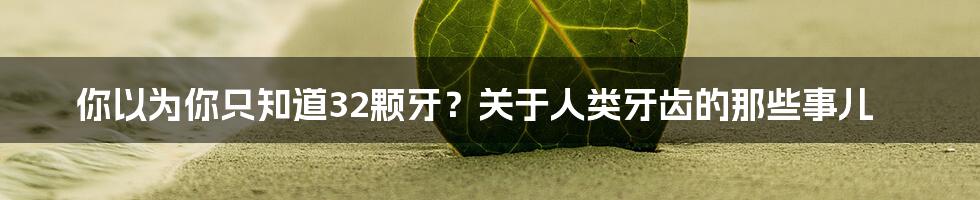 你以为你只知道32颗牙？关于人类牙齿的那些事儿