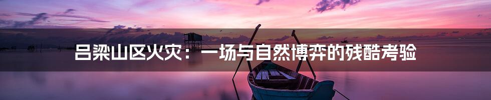 吕梁山区火灾:一场与自然博弈的残酷考验