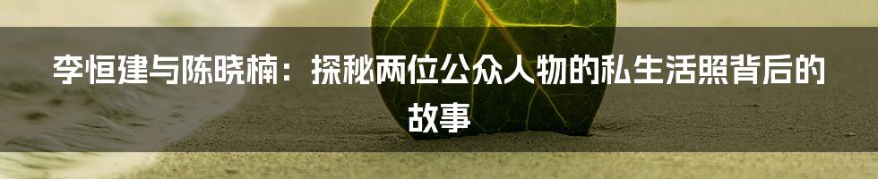 李恒建与陈晓楠：探秘两位公众人物的私生活照背后的故事