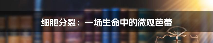 细胞分裂：一场生命中的微观芭蕾