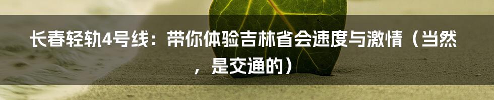 长春轻轨4号线:带你体验吉林省会速度与激情(当然,是交通的)