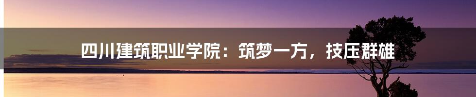 四川建筑职业学院：筑梦一方，技压群雄