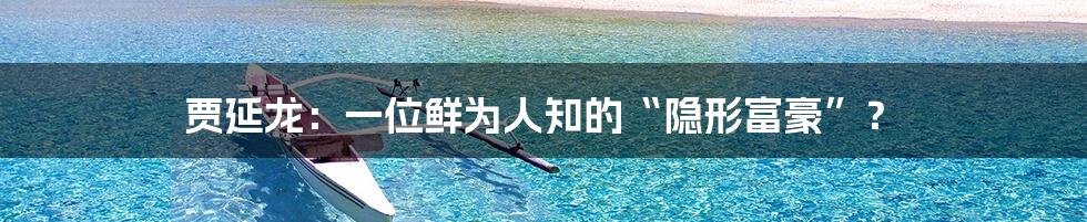 贾延龙:一位鲜为人知的“隐形富豪”?