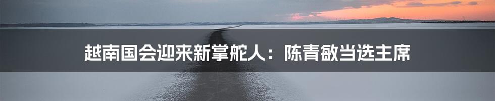 越南国会迎来新掌舵人：陈青敏当选主席