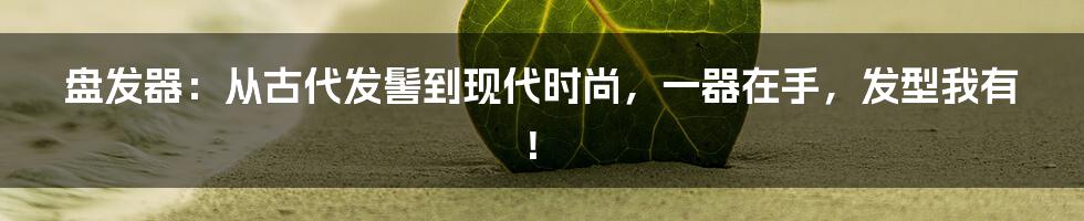 盘发器：从古代发髻到现代时尚，一器在手，发型我有！
