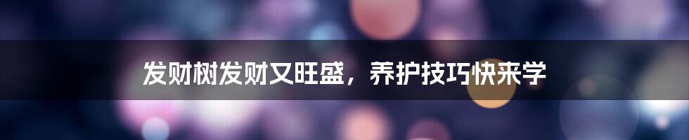 发财树发财又旺盛，养护技巧快来学