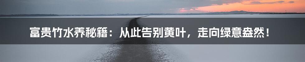 富贵竹水养秘籍：从此告别黄叶，走向绿意盎然！