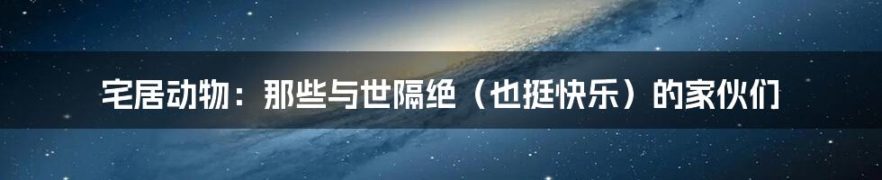 宅居动物：那些与世隔绝（也挺快乐）的家伙们