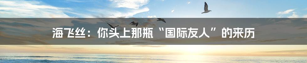海飞丝:你头上那瓶“国际友人”的来历