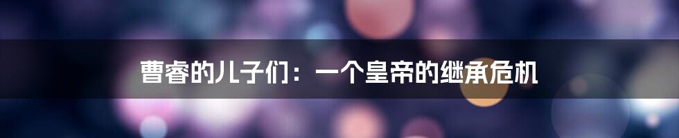 曹睿的儿子们:一个皇帝的继承危机