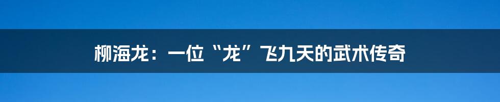 柳海龙：一位“龙”飞九天的武术传奇