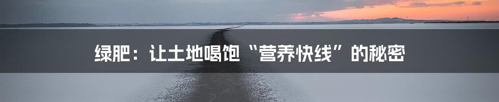 绿肥:让土地喝饱“营养快线”的秘密