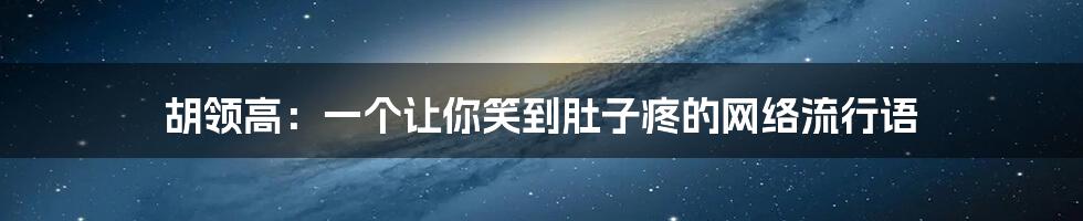 胡领高:一个让你笑到肚子疼的网络流行语